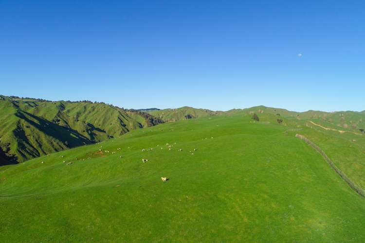 292 Aramahoe Road Taumarunui_0