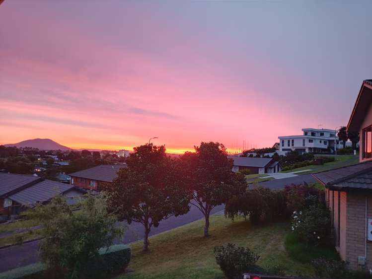 114 George Melrose Drive Te Awamutu_1