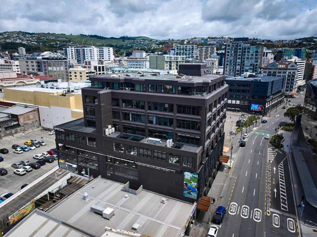 234 Wakefield Street Te Aro_4
