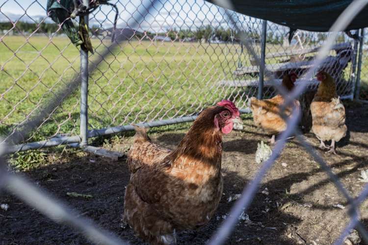 256 Foothills Road Okuku_7