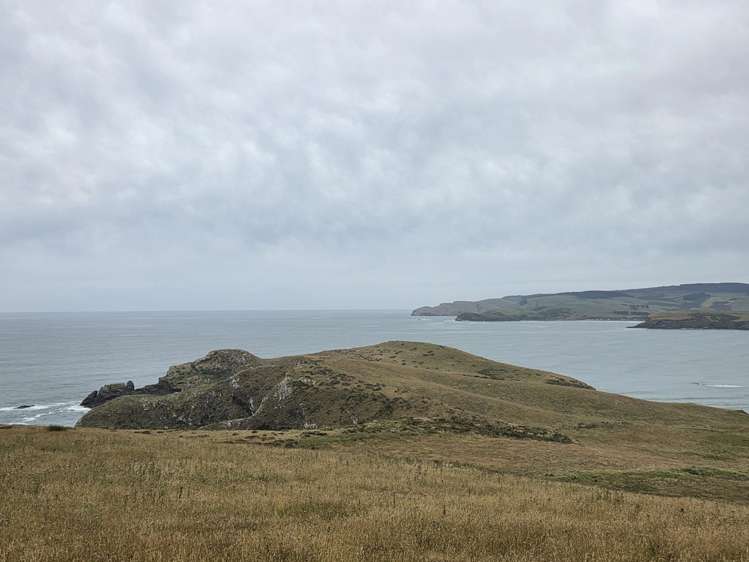 Cannibal Bay Rd Catlins Surrounds_6