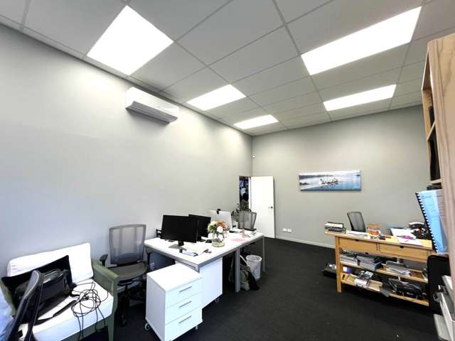 17c Pollen Street Grey Lynn_2