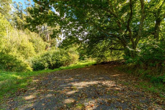 125 Boscabel Drive Ohauiti_4