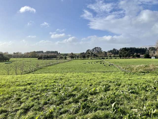 95 Stafford Street Shannon_2