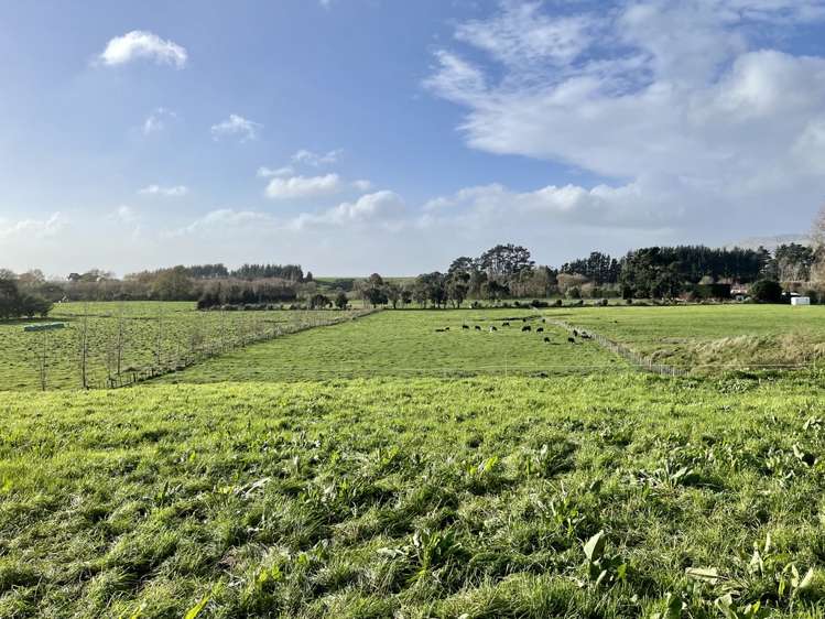 95 Stafford Street Shannon_2