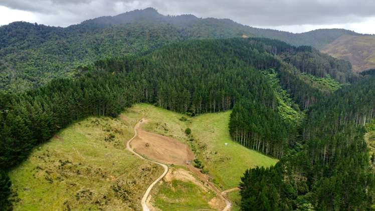 Waitete Road Waihi_21