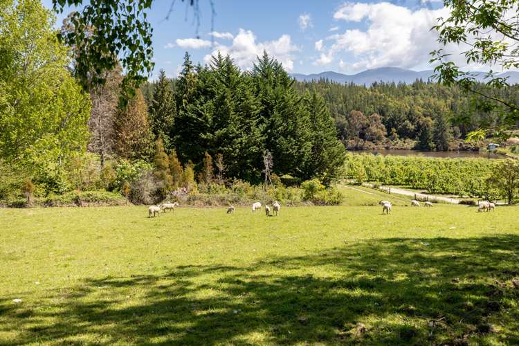 68 Central Road Lower Moutere_29