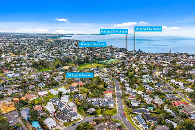 1a Agathis Avenue Mairangi Bay_24