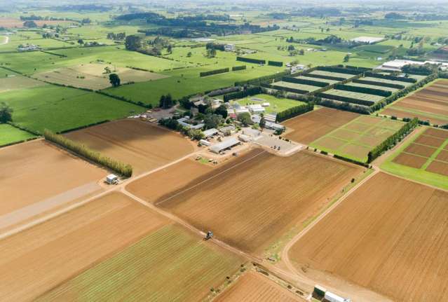 49 Cronin Road Pukekohe_2