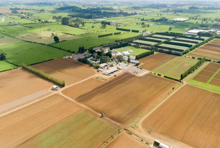 49 Cronin Road Pukekohe_2