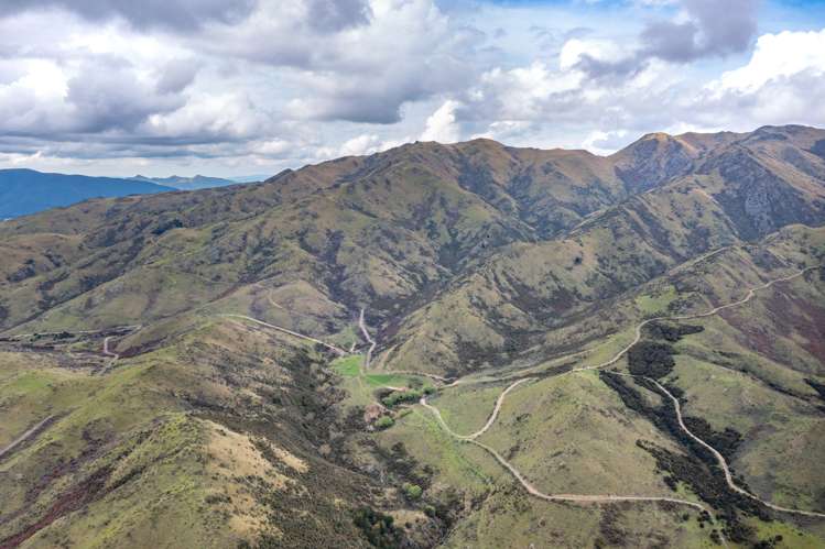 1731 Ram Paddock Road Ashley Forest_8