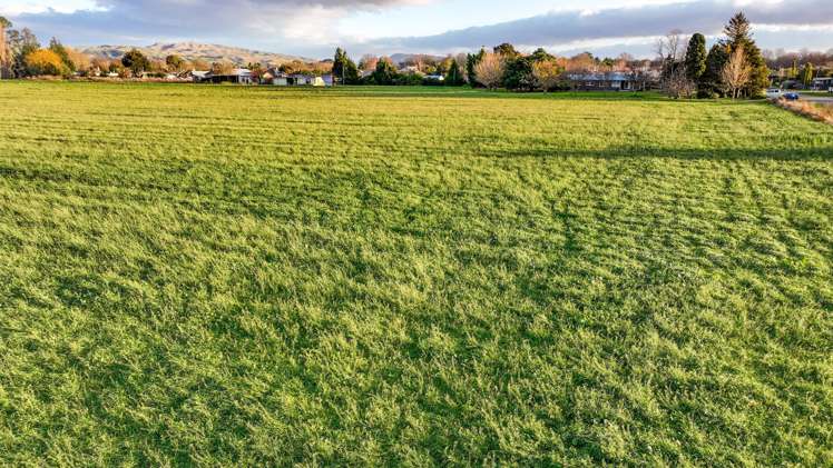 1223 Jellicoe Street Mayfair_18