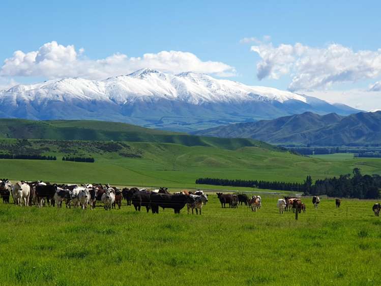 Lot 2 Cricklewood Rise Grants Road Kurow_10