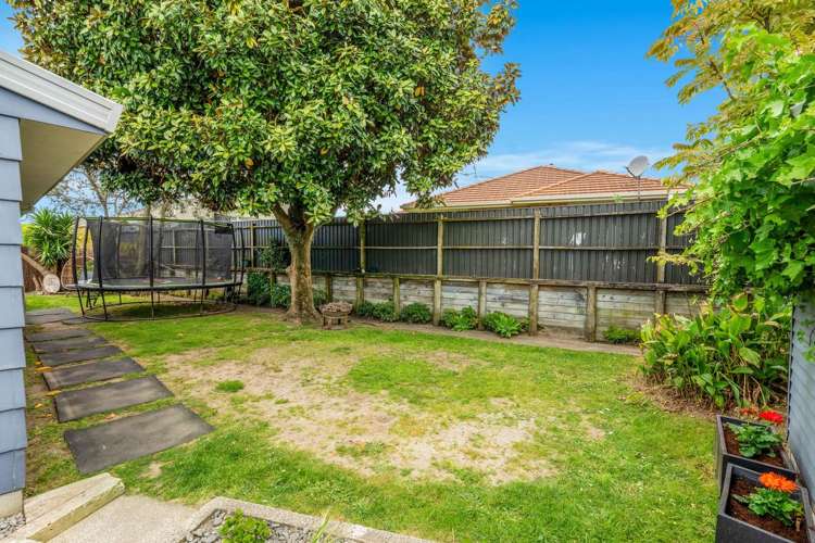 153B Eversham Road Mount Maunganui_23