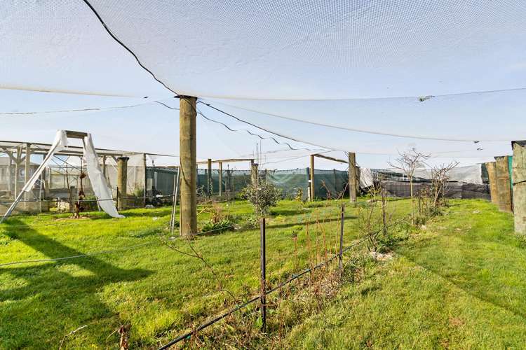 8 Arowhenua Station Road Levels_21