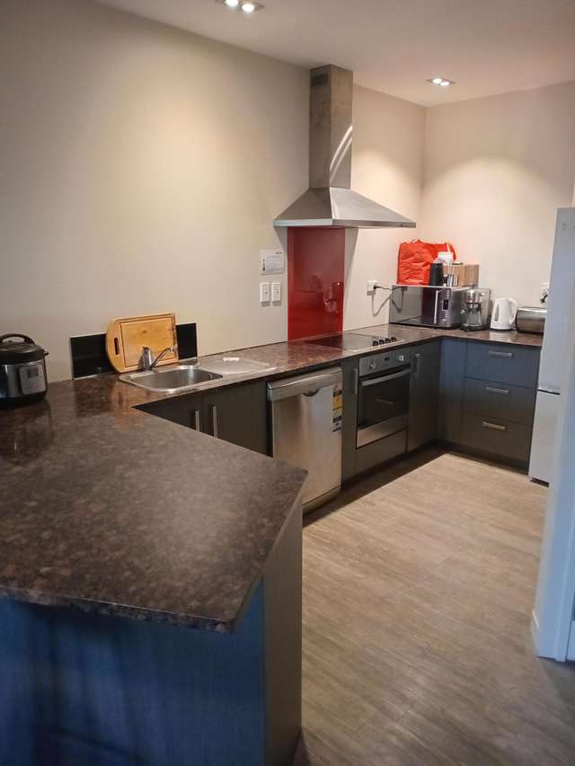 73 Buccleugh St North East Valley_4