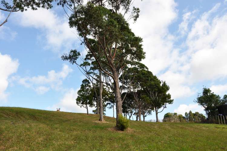 5 Kookaburra Drive Tawharanui Peninsula_7