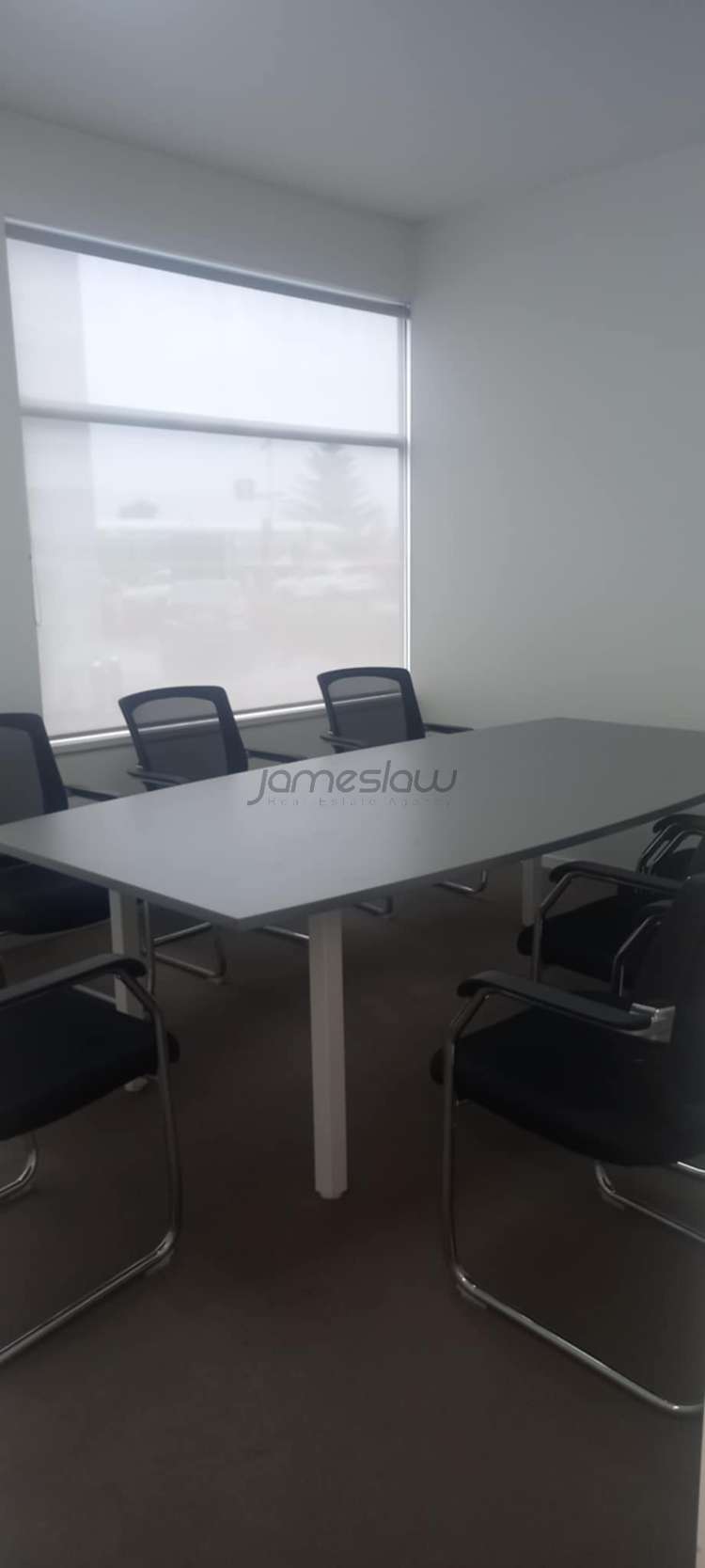 Ground Floor/41 Taharoto Road Takapuna_6