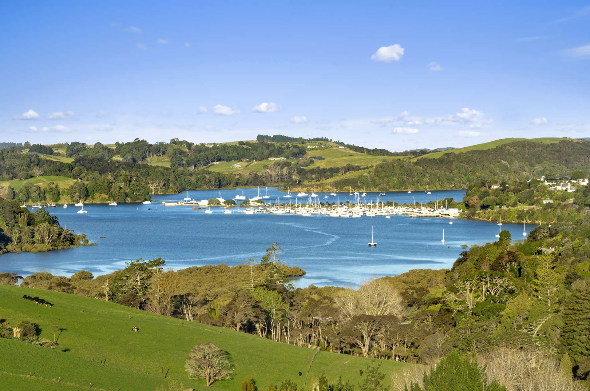 241 Sharp Road Matakana Rodney Houses for Sale One Roof