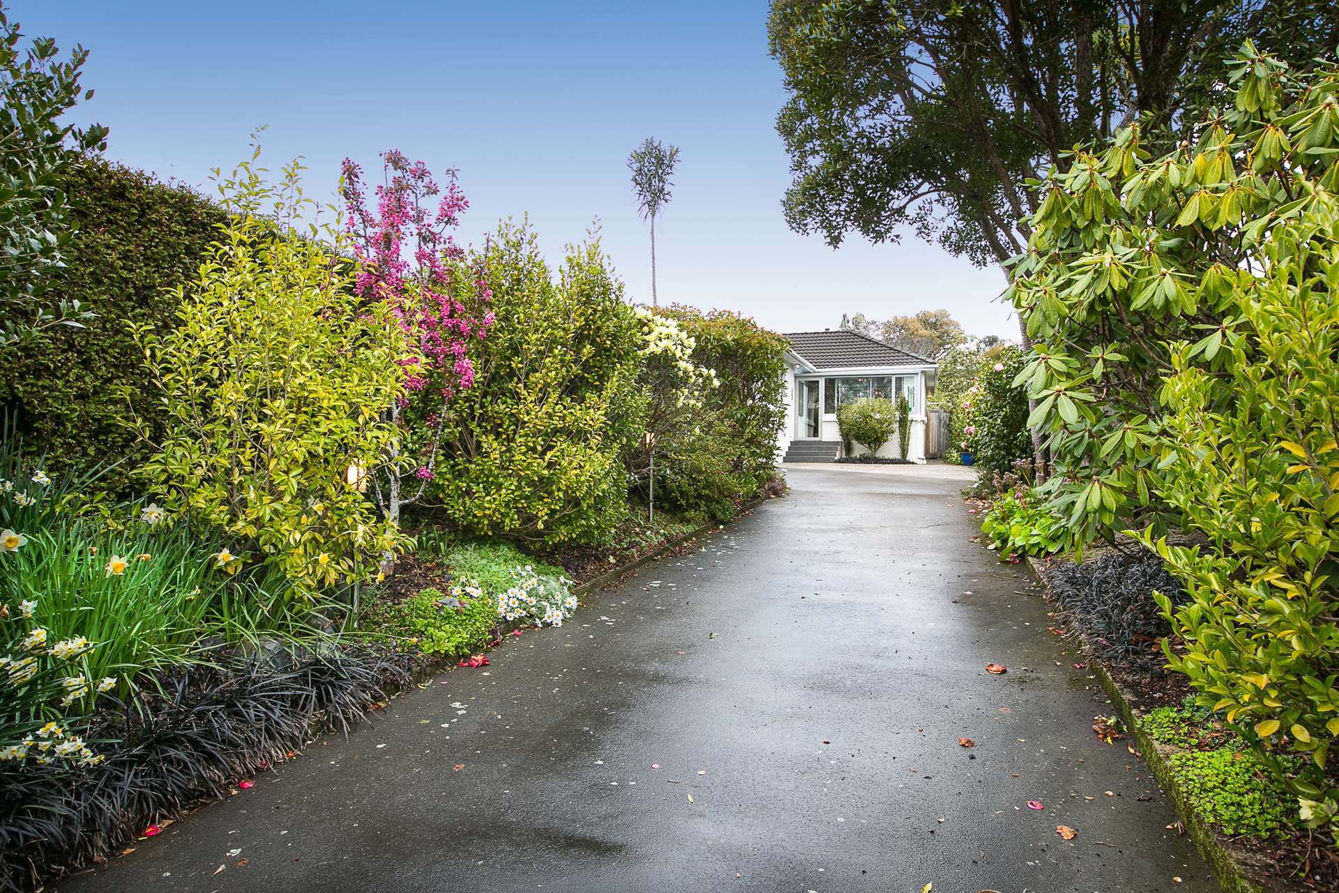 83 Cannington Road Maori Hill_0