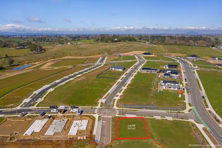 5 Anurangi Rise Peacocke_5