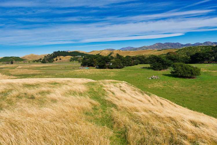 Corner Marfells Beach and Clifford Roads Lake Grassmere_25