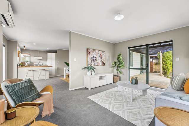 231b Boucher Avenue Te Puke_1