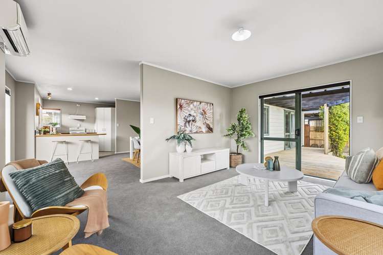 231b Boucher Avenue Te Puke_1