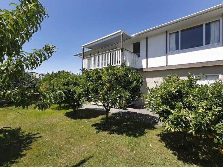 1 March Street Spring Creek_9