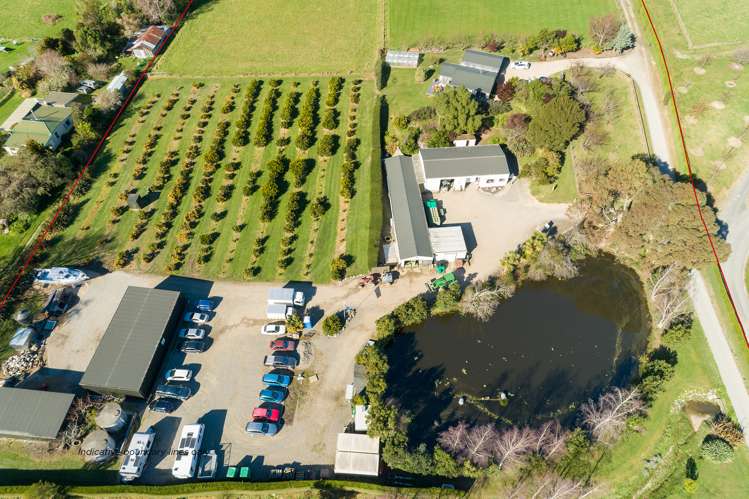 49 Baldwin Road Tasman_13