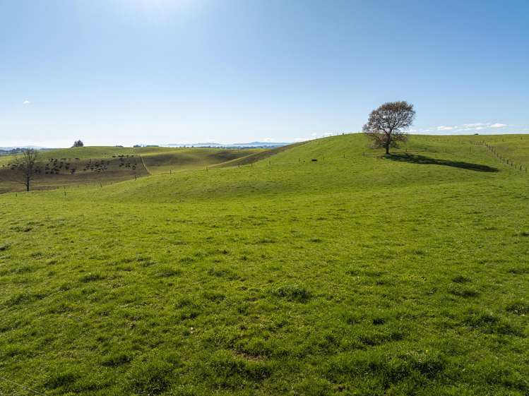 2005 Old Taupo Road Putaruru_17