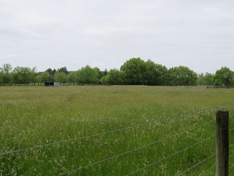 1521 Tram Road Swannanoa_10