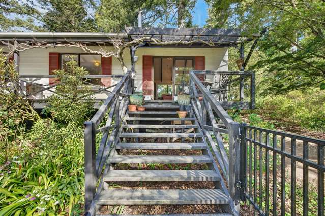 108 Homebush Road Glentunnel_1