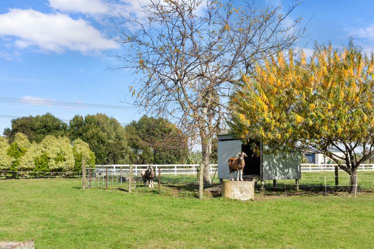 126 McCabe Road Te Aroha_20