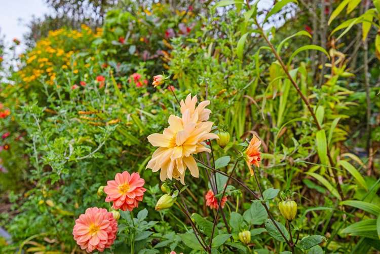 63 Waipunahau Road Waikanae_27