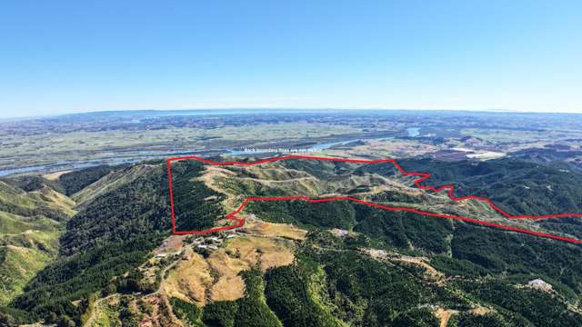 Abandoned 372ha harvested forestry block