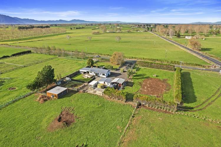 385 Whakahoro Road Springdale_3