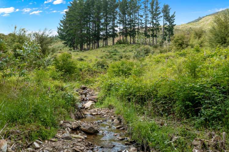 1025 Wakamarina Road Havelock_30