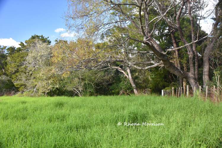 7 Te Tonga Road Matakohe_12