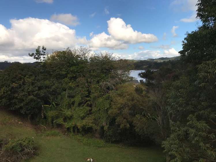 16 Ross Street Opua_8