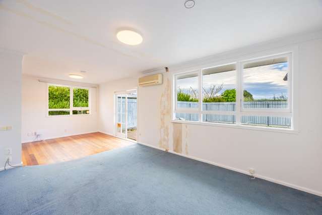 1 Elliott Crescent Havelock North_4