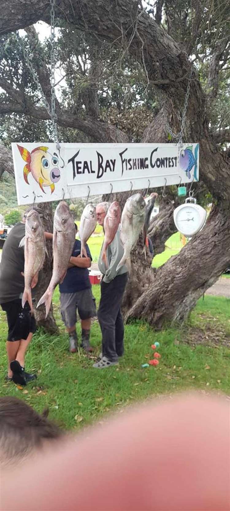 42 Owai Avenue Hukerenui and Surrounds_12