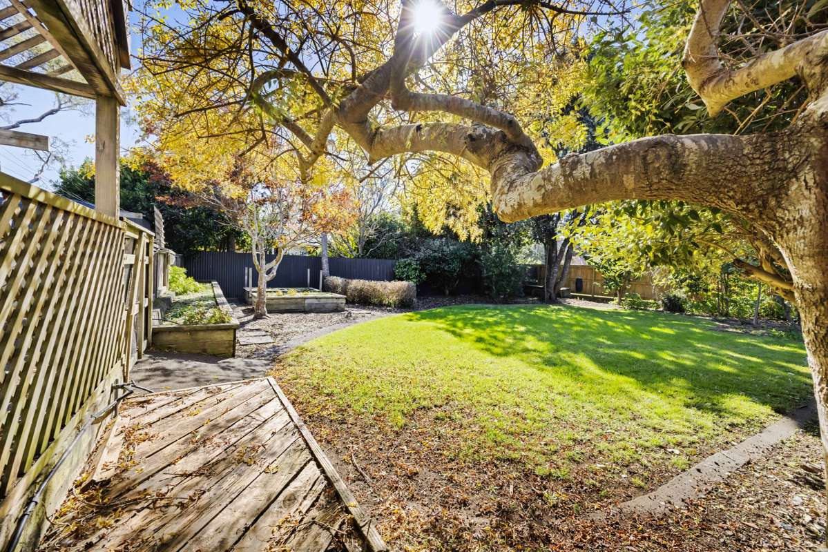 3a Waimea Street_5