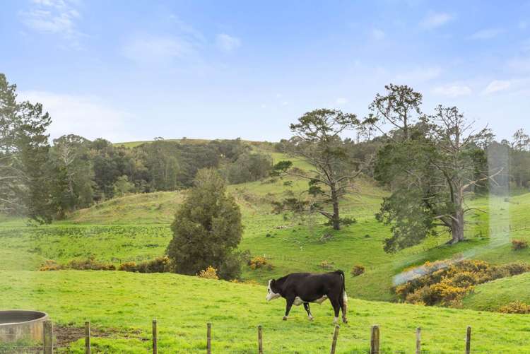 141a Oram Road Mercer_16