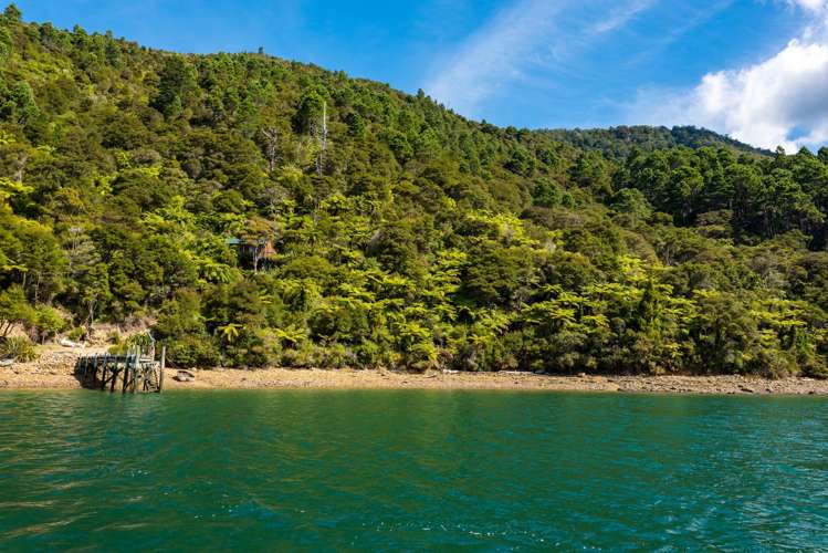 Lot 9 Fairy Bay Pelorus Sounds_5