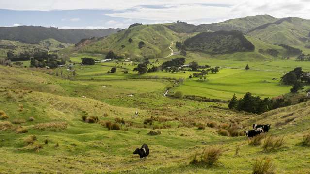 5676 Masterton Castlepoint Road Tinui_1