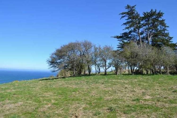 215 Green Island Bush Road Waldronville_5