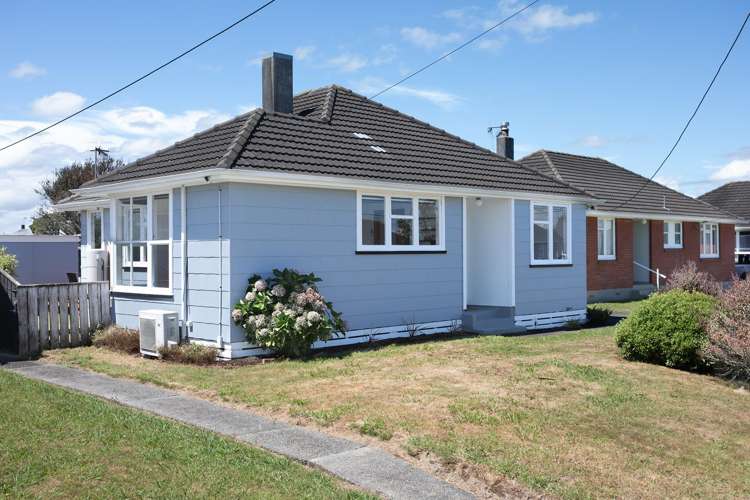 16 Kittyhawk Row Bulls_19