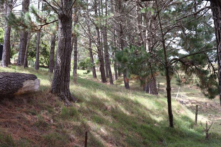 178 Wilton Collieries Road Glen Massey_18