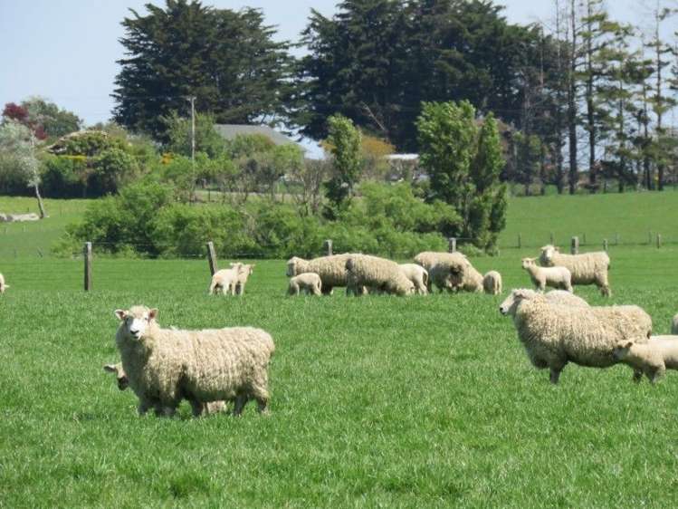 136 Kapuka North Road Wyndham Surrounds_17